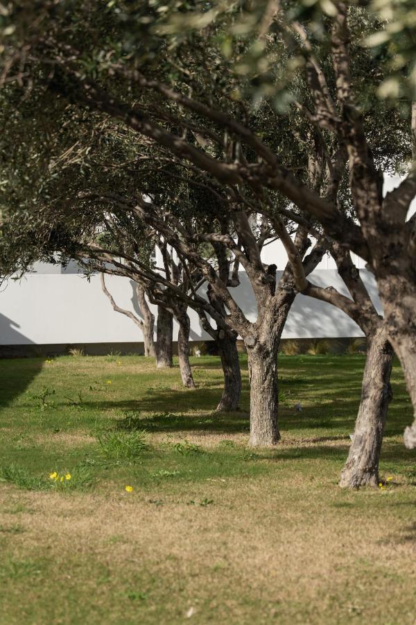 Tzanis Resort Σκύρος Εξωτερικό φωτογραφία