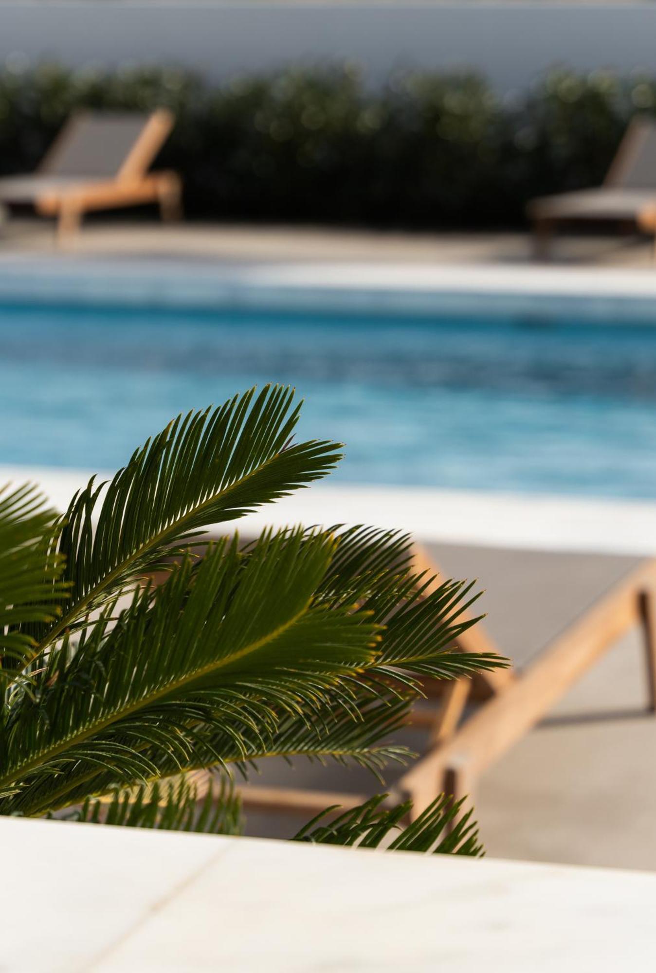 Tzanis Resort Σκύρος Εξωτερικό φωτογραφία